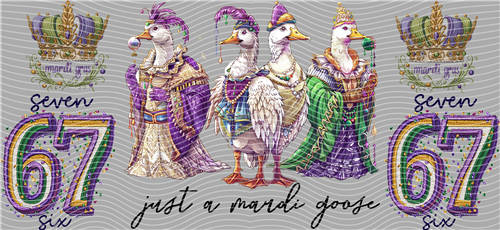 16oz Latest Bestseller-C 5123